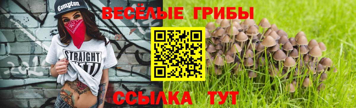 Сертолово  ГАШИШ  Вход с VPN  Alpha-PVP СОЛЬ кристаллы  Канабис  Меф МЯУ МЯУ   COCAIN 